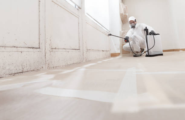 24/7 Emergency Attic Mold Removal experts in Berkeley Heights, NJ