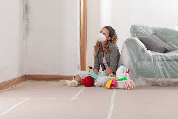 Reliable Attic Mold Removal contractor in Berkeley Heights, NJ by WQB Mold Removal